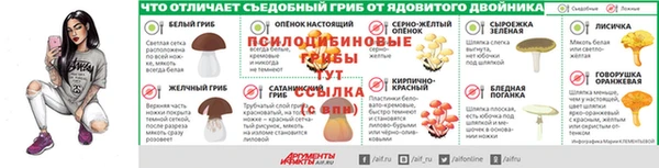 jwh Аркадак